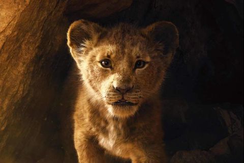 Simba en live action. Fotograma del tráiler