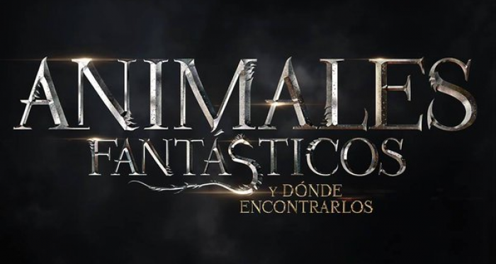 J.K. Rowling ya sabe como terminará la saga de &#039;Animales fantásticos y dónde encontrarlos&#039;