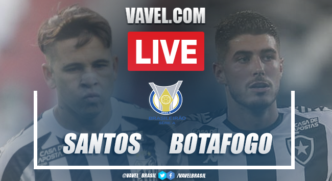 Gols e melhores momentos de Santos 2 x 1 Botafogo pelo Campeonato Brasileiro