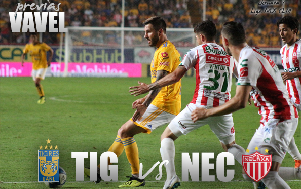Tigres vs Necaxa: cómo y dónde ver EN VIVO, canal y horario TV