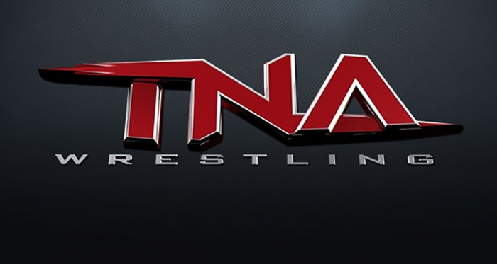 TNA's Logo in 2004