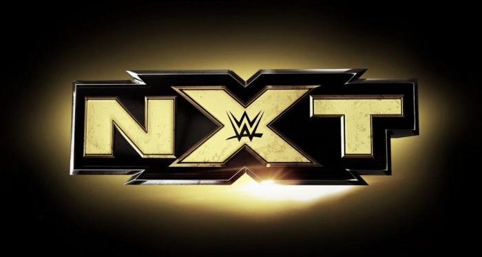 Predicting the NXT Call-Ups