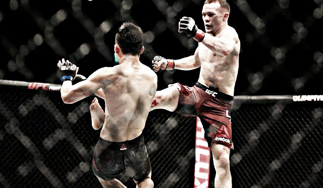 Foto: fight chamber