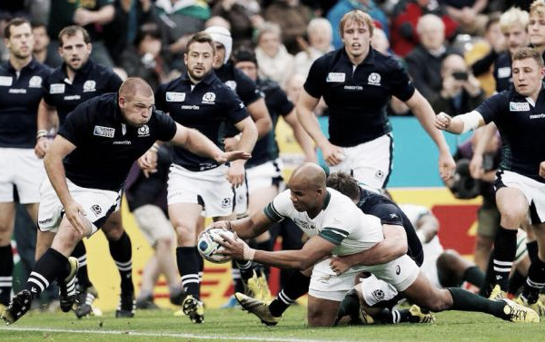 South Africa 34-16 Scotland: Springboks back to their best after beating battling Scots