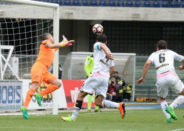 L'afflitto Palermo prepara la sfida al Genoa