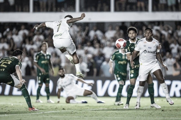 Santos vs Palmeiras: Relembre a trajetória das duas equipes até a final do Paulistão 2024