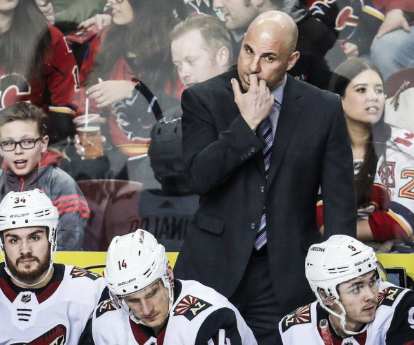 Arizona Coyotes: What went wrong, what the future holds