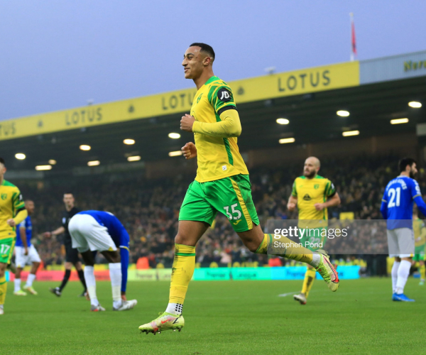 Norwich City 2-1 Everton: Canaries win to move to within a point of safety