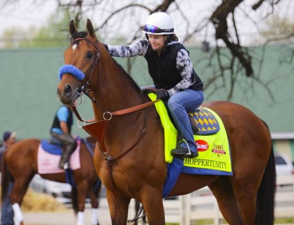 Hoppertunity Scratched Out Of The Kentucky Derby Due To Foot Problem