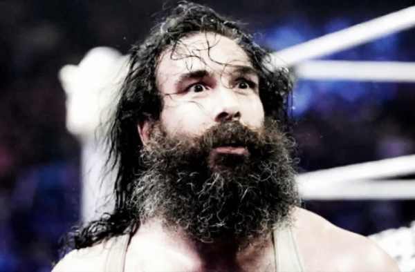 Luke Harper frustrated with free agents article