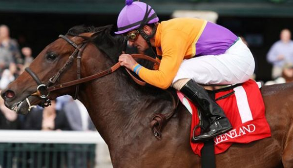 Belmont Stakes Update, May 28: Medal Count In, Candy Boy Out