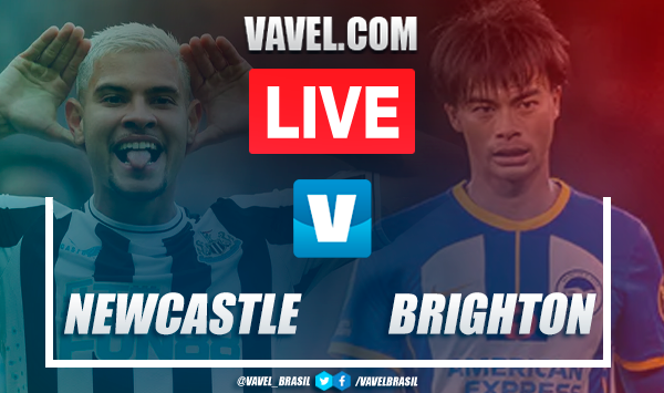 Gols e melhores momentos Newcastle 4x1 Brighton pela Premier League