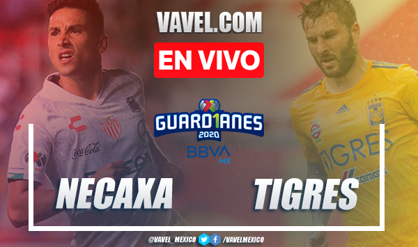 Necaxa 0-3 Tigres: goles y resumen  Liga MX 2020
