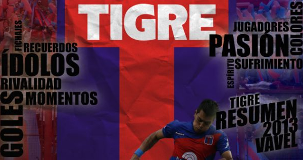 Tigre 2013: un año de vaivenes