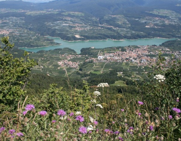 Giro del Trentino - Melinda 2016, 4° tappa: si decide la corsa