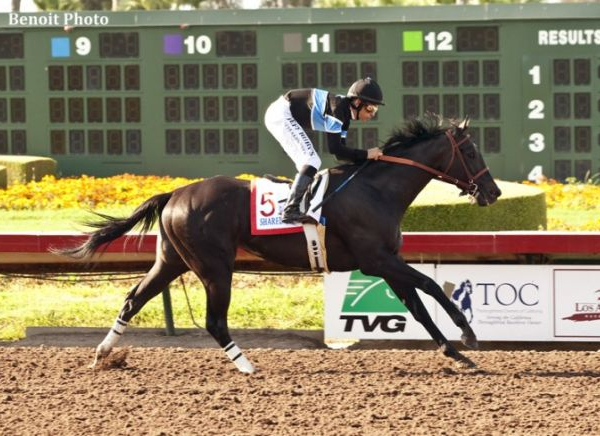 2014 Breeders' Cup Live Results of Horse Racing