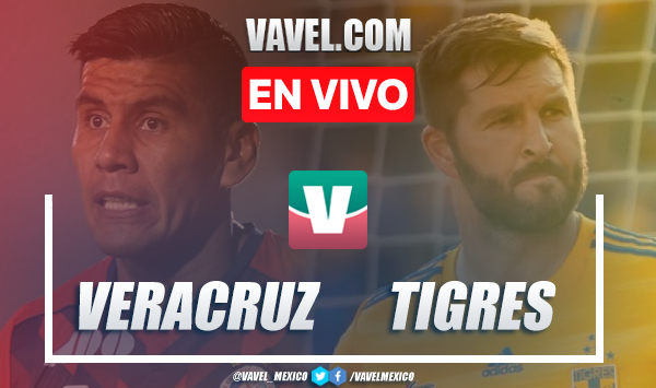 Goles y resumen Veracruz 1-3 Tigres en Liga MX 2019