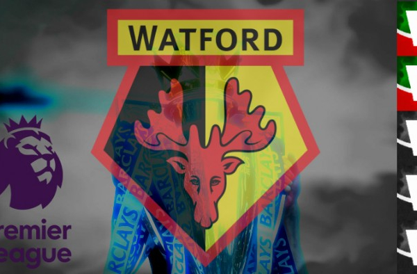 Premier League 2016/17, Watford: Walter, do you speak English?