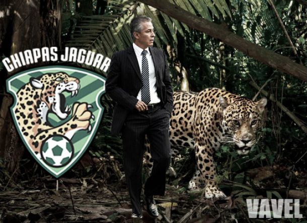 El Jaguar es el verdadero rey de la selva