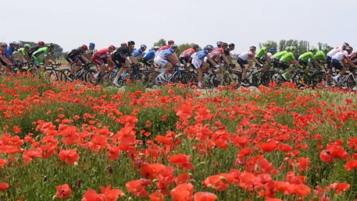 Giro d'Italia 2016, 12° tappa: a Bibione è volata di gruppo