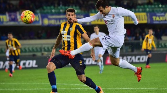 Fiorentina - Hellas Verona in Serie A 2015/16 (1-1)