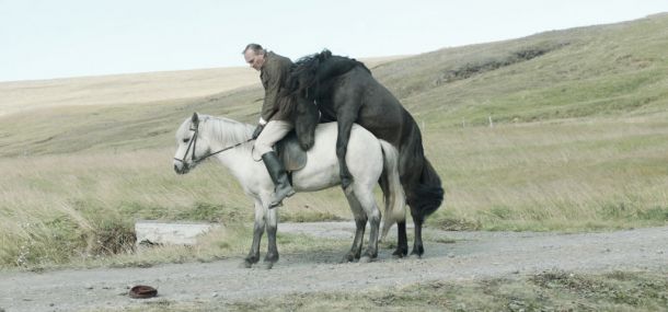 Desde el frío islandés: ‘De caballos y de hombres’