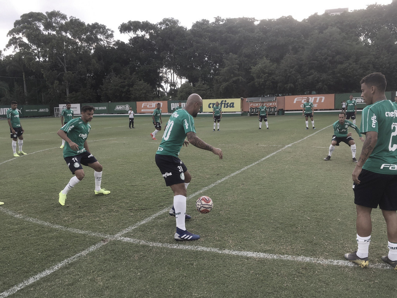 Em busca da classificação, Palmeiras recebe Novorizontino no Pacaembu