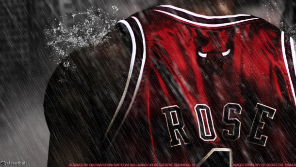 Chicago Bulls 2013/2014
