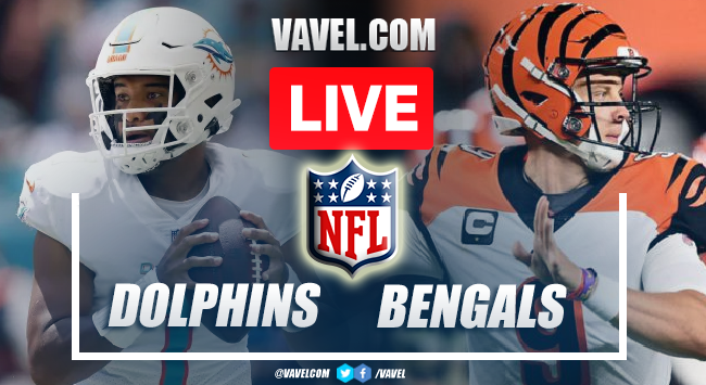 bengals vs the dolphins