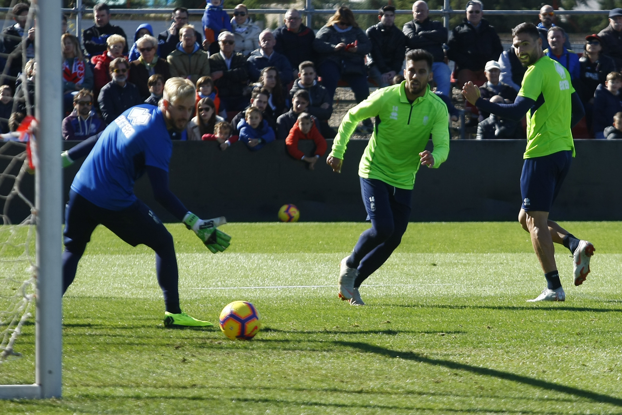 El Granada CF abre a la afición el entrenamiento del Día de Andalucía El Granada CF abre a la afición el entrenamiento del Día de Andalucía