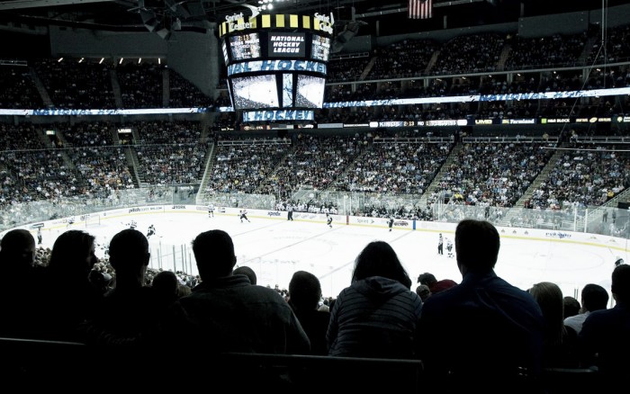 Análisis: seis ciudades con interés por la NHL