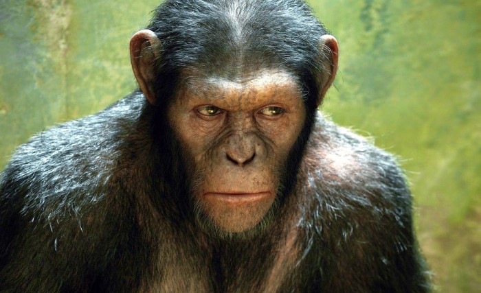 'La guerra del planeta de los simios' ya tiene sinopsis oficial