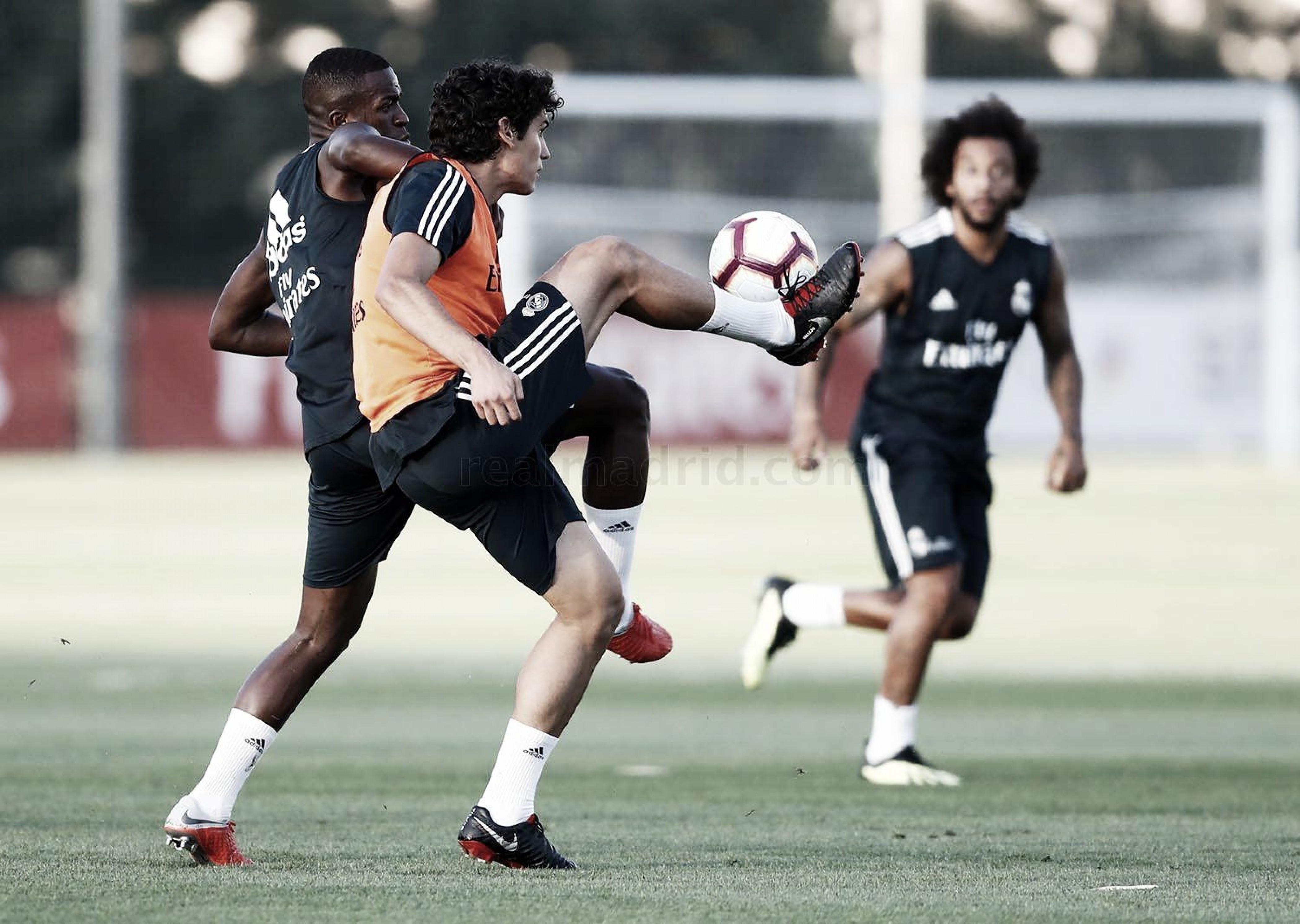 El Madrid vuelve a los entrenamientos