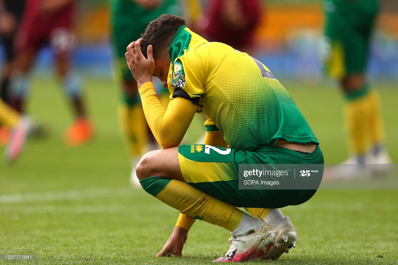 Norwich City season review: Canaries fail to fly high as Championship beckons