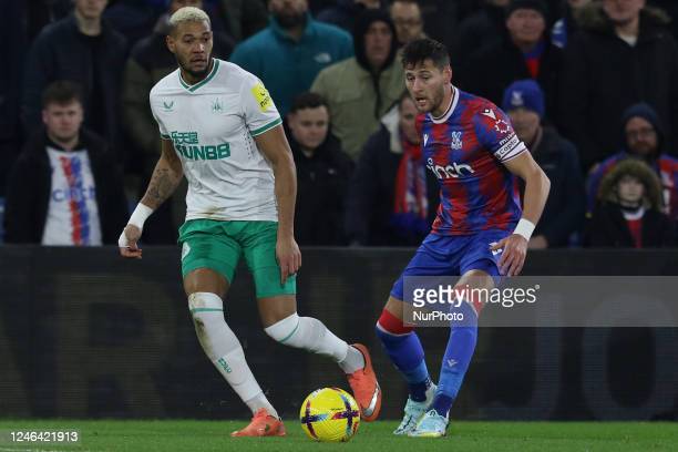Crystal Palace 0-0 Newcastle United: Magpies frustrated in Selhurst Park draw