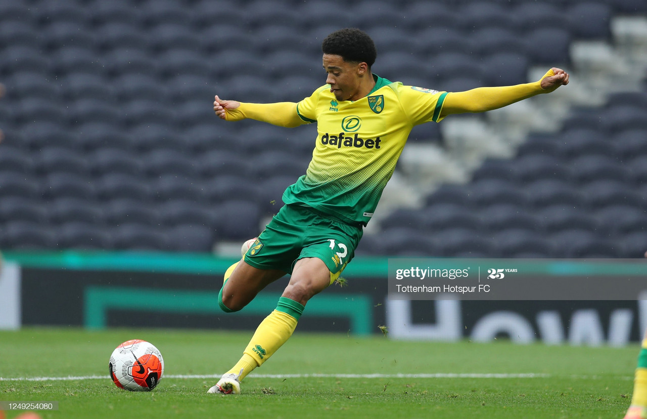 Jamal Lewis and Newcastle United: A good move for all involved