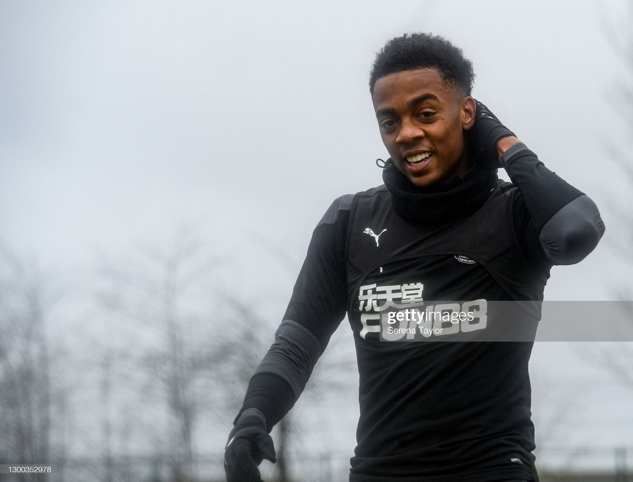 Where does Joe Willock fit into the Newcastle United side?