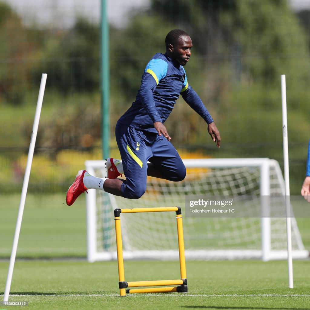 Watford land Moussa Sissoko from Spurs