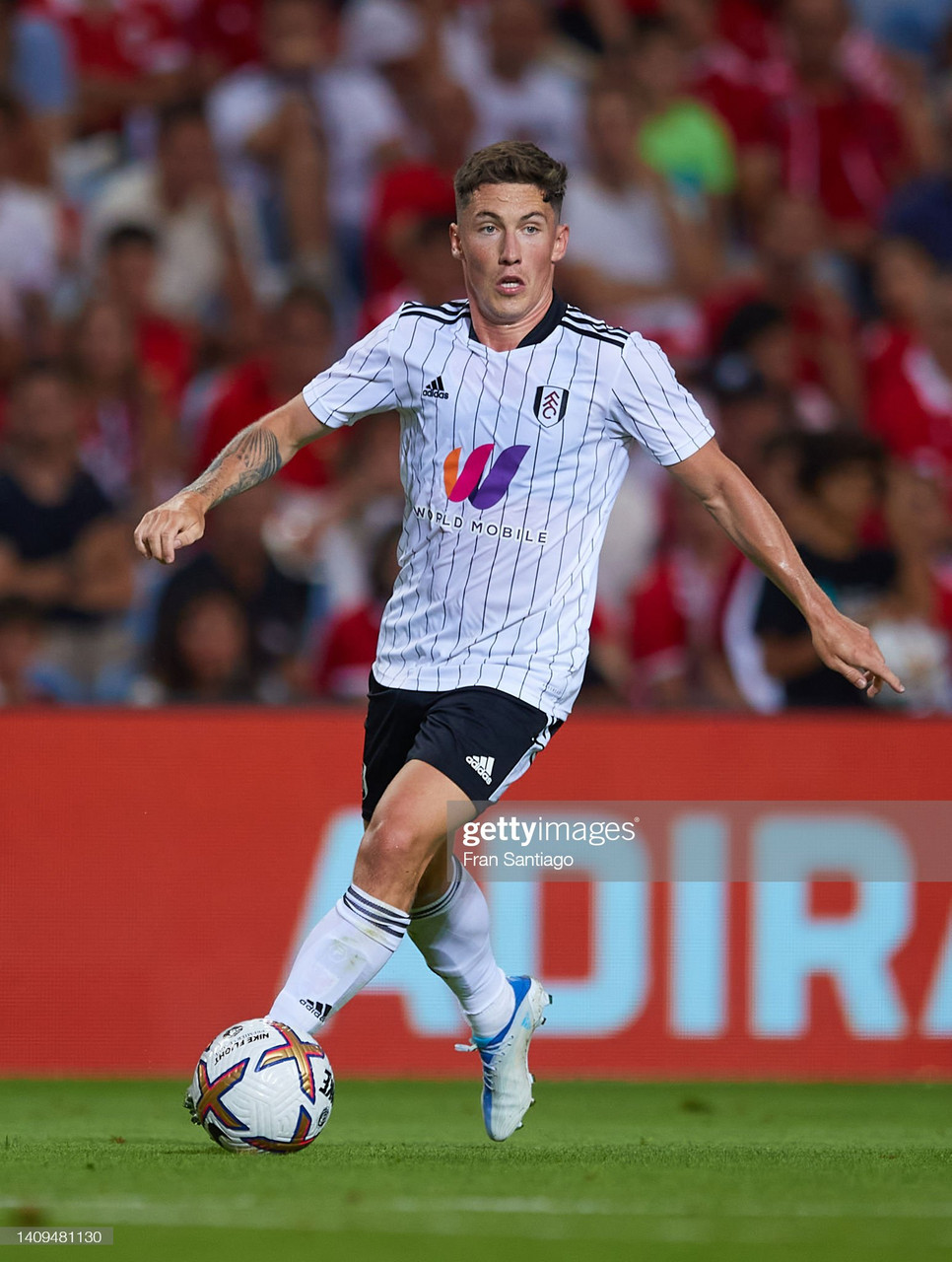 Marco Silva expects Harry Wilson to be fit for World Cup