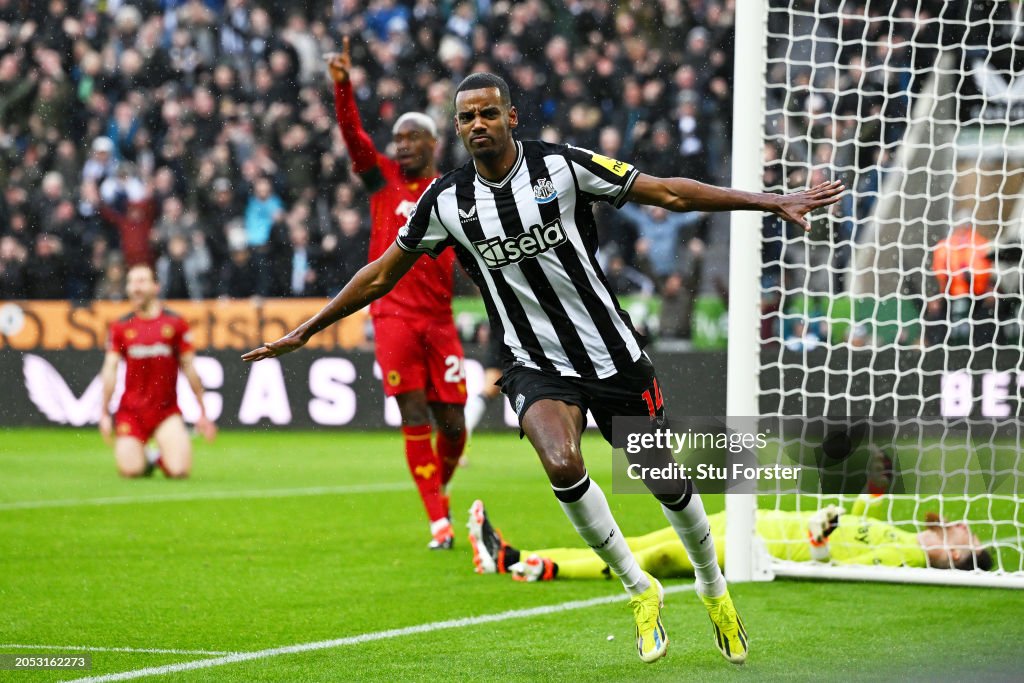 Newcastle 30 Wolves Defensive howler sends Wolves packing VAVEL
