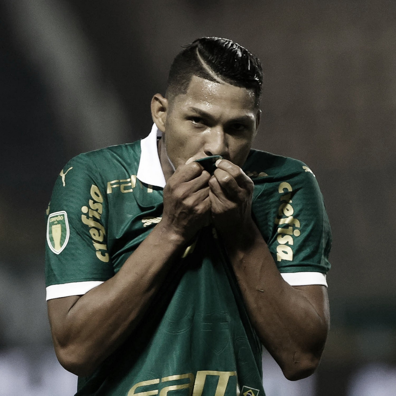 Gols e melhores momentos Santo André x Palmeiras pelo Campeonato Paulista (1-1)