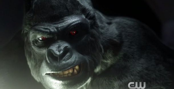 The Flash: “Grodd Lives” Review