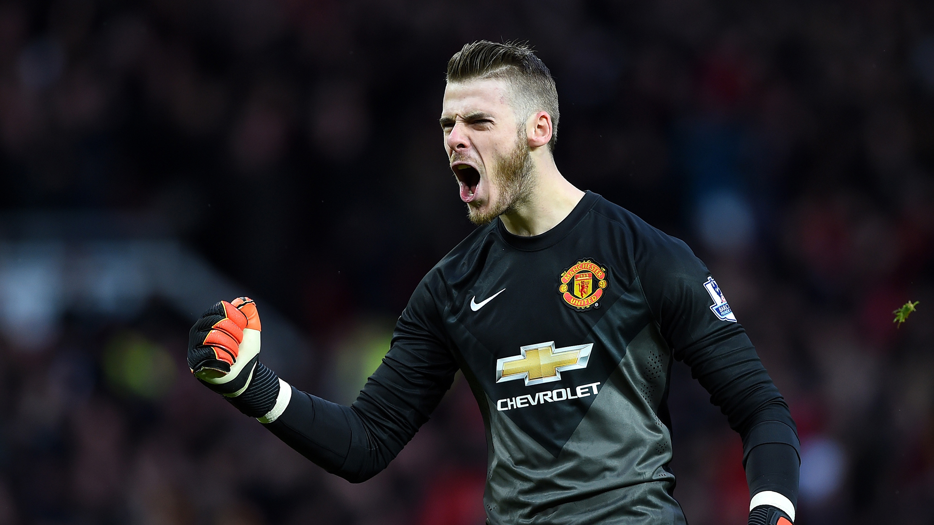 World Class: De Gea has established himself as one of the best GK's in the world this season