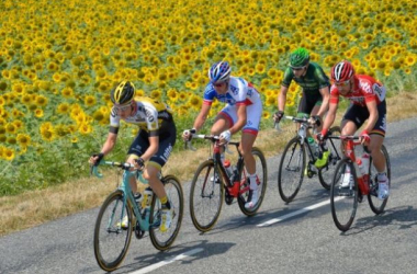 Previa | Tour de Francia 2015: 14ª etapa, Rodez - Mende