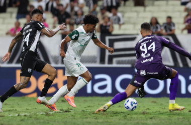 Foto: Cesar Greco/Palmeiras/by Canon