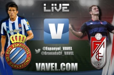 Resultado Espanyol - Granada en la Liga 2013/14 (1-0)