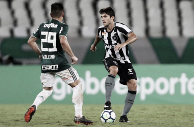 Em situações opostas, Palmeiras e Botafogo duelam pelo Campeonato Brasileiro