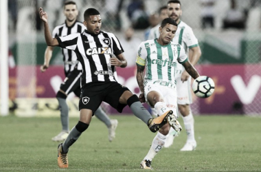 Palmeiras e Botafogo se enfrentam buscando definições na parte de cima da tabela