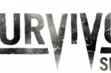 Posibles combates para Survivor Series