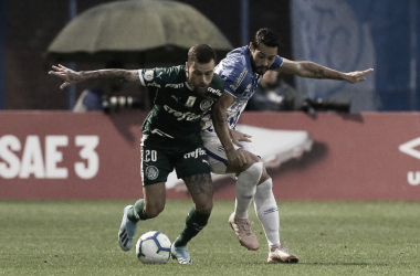 Avaí x Palmeiras AO VIVO (1-1)